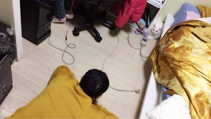 집에 고양이 데리고 오지 말라던 아부지.jpg | 인스티즈