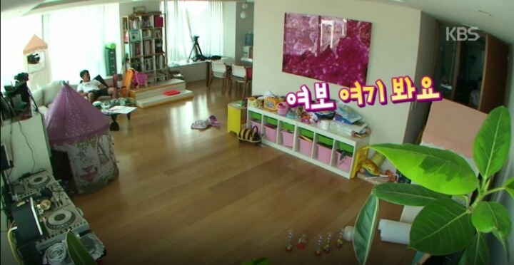 삼남매를 원하는 야노시호 | 인스티즈