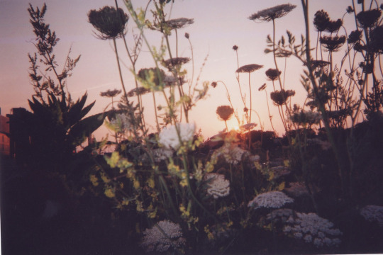  꼭 한 번 묻고 싶다 | 인스티즈