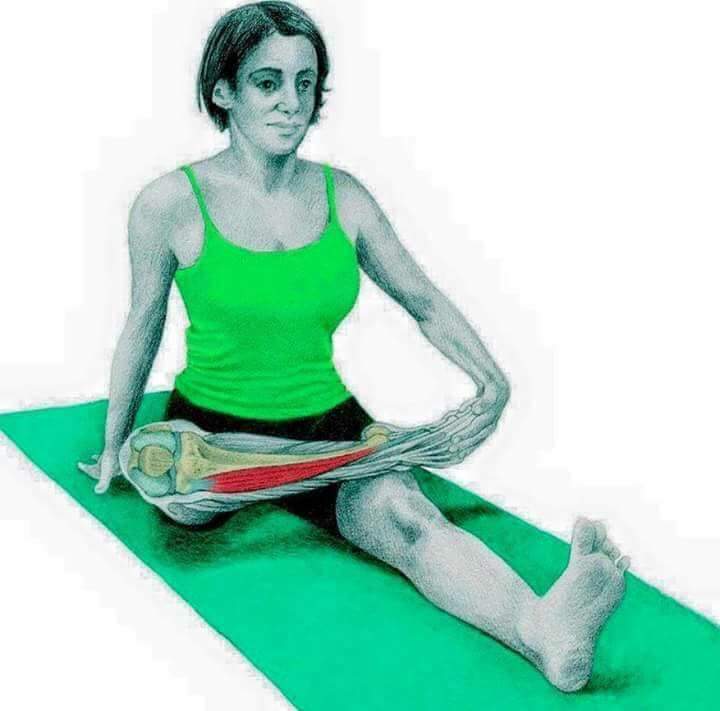 각 스트레칭별 자극이 가는 부위들 | 인스티즈