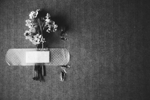 나는 자살할 수 있는 식물이 아니오,단지 관심을 끌고 싶었소 | 인스티즈