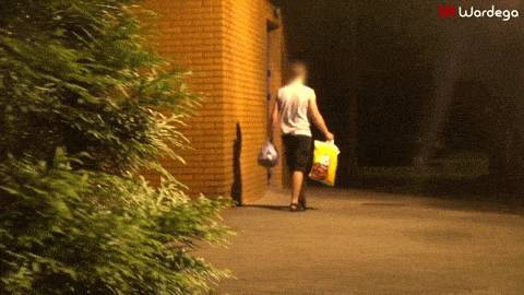 댕댕이가 냥냥이를 이길 수 없는 이유 -2탄- | 인스티즈