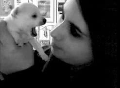 ??? : 코 건들지마 | 인스티즈