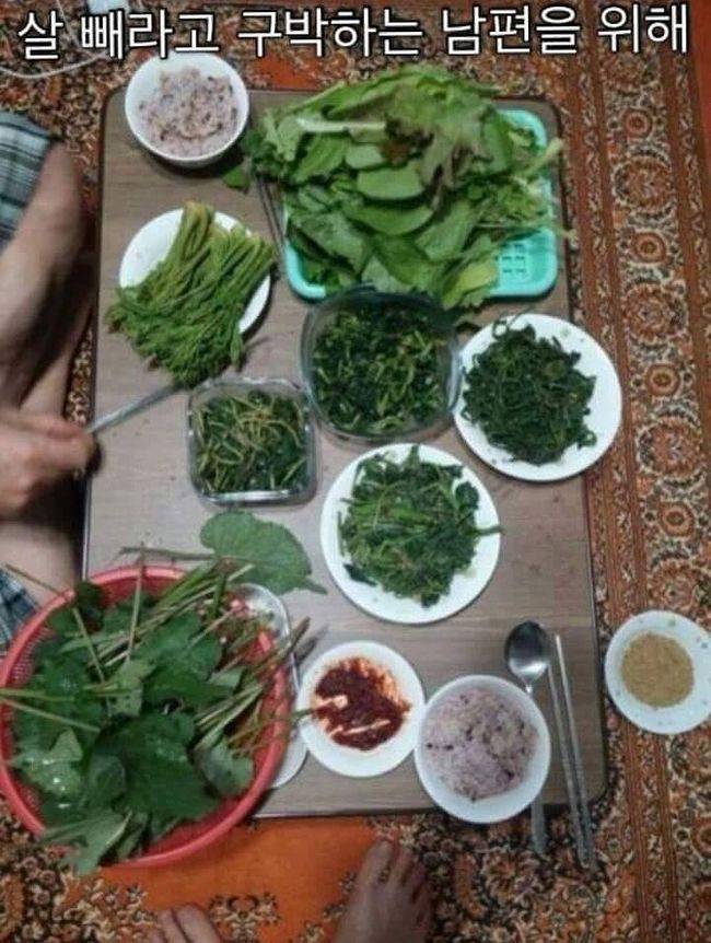 여러가지 성향의 남편을 위한 밥상 | 인스티즈