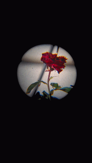 그대의 낯설지 않은 미소와 눈웃음을 기억하며 | 인스티즈