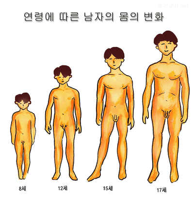 가만히 생각해보면 넘나 이상한 것.zzizzi | 인스티즈