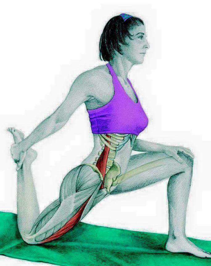 각 스트레칭별 자극이 가는 부위들 | 인스티즈