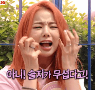 2016년 첫 솔지 | 인스티즈