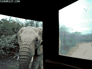 ??? : 코 건들지마 | 인스티즈