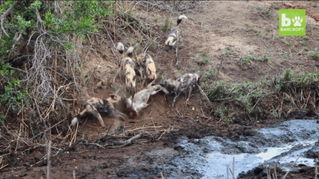 하마가 왔으니 이제 걱정 말라구! | 인스티즈