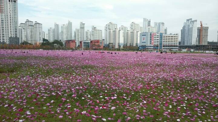 현재 광교신도시ㄷㄷ | 인스티즈