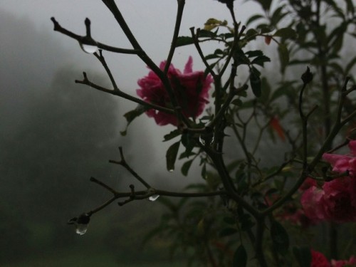  많이 하느냐는 중요한 게 아니야 | 인스티즈