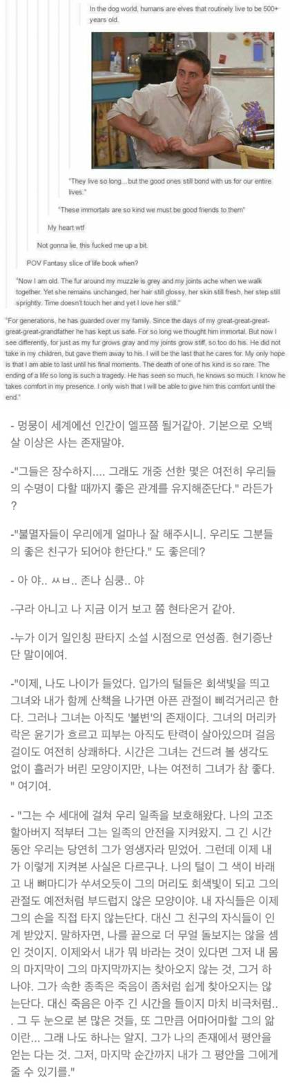 멍뭉이들세계에서 인간은 엘프쯤 될거같다 | 인스티즈