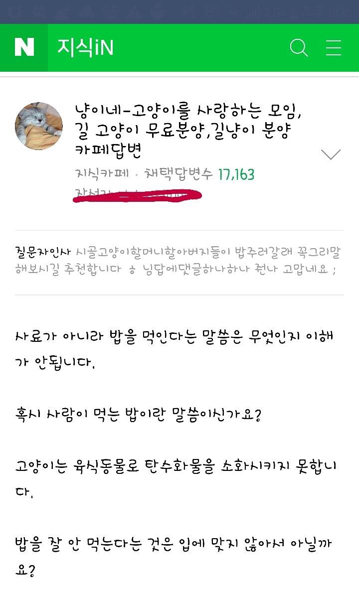 고양이한테 사료아닌 밥을 주고 있는데요.... | 인스티즈
