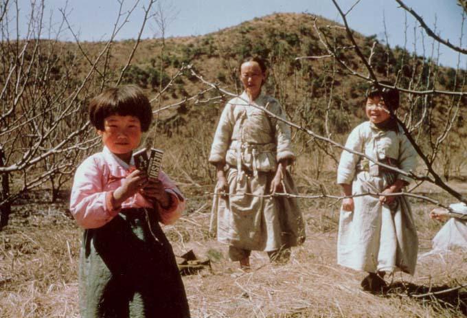 한국전쟁 중 컬러사진 | 인스티즈