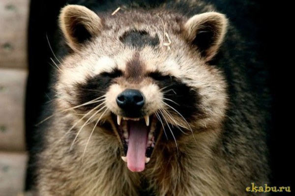 흐아아~......품 | 인스티즈