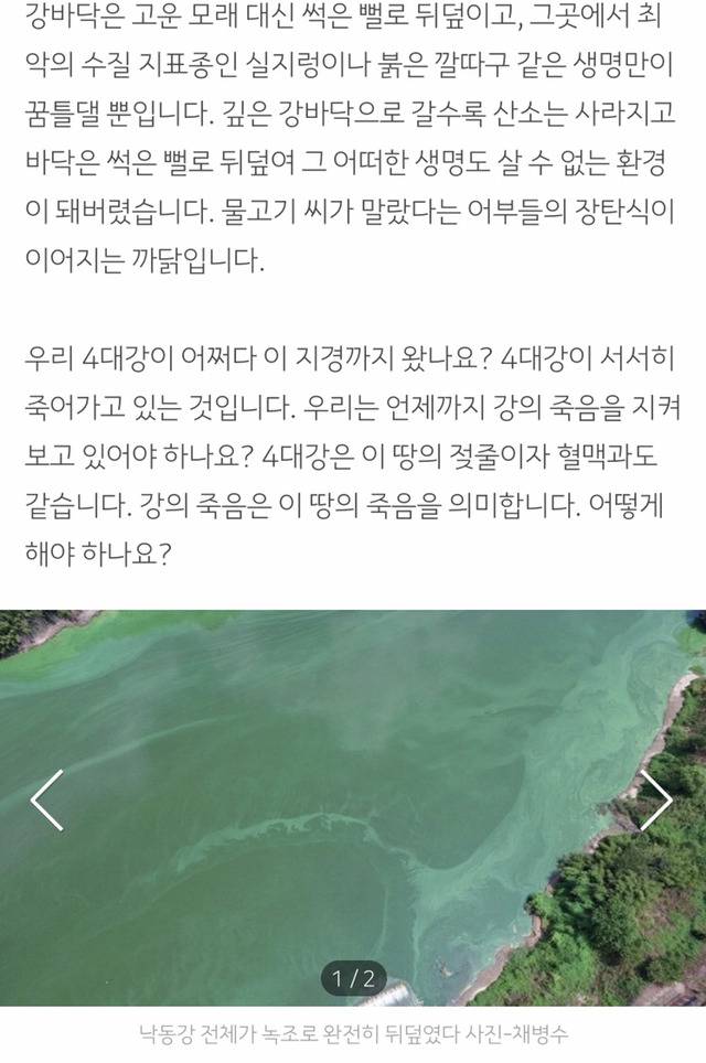 4대강이 서서히 죽어가고 있어요 | 인스티즈