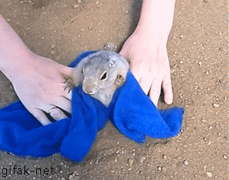 피지 제거 | 인스티즈