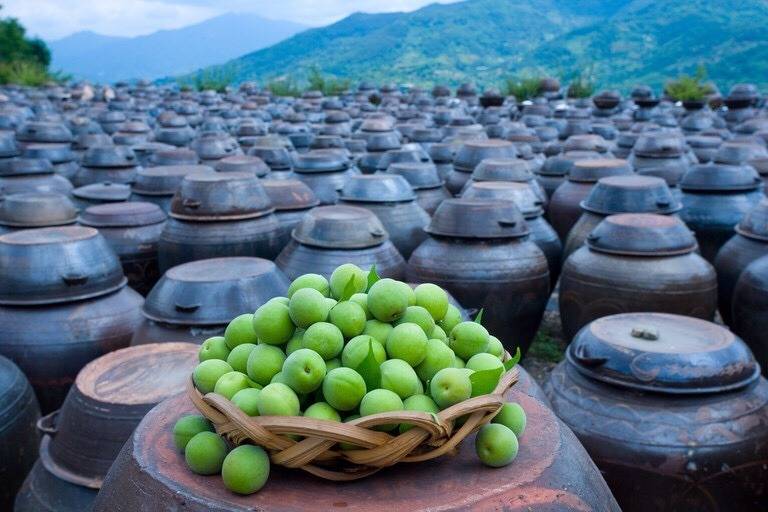 설탕 대신 요리에 사용하면 건강에 더 좋을거라 생각하는 것 (일부 사람들이) | 인스티즈