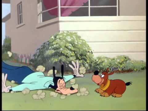 일요일 아침 자동 기상 TV 프로그램 | 인스티즈