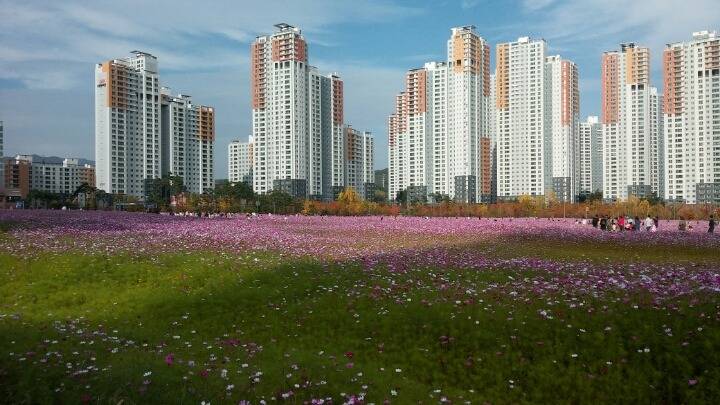 현재 광교신도시ㄷㄷ | 인스티즈