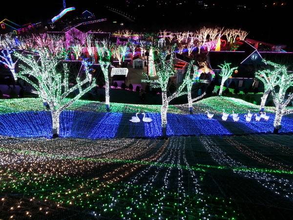 여자친구 데리고 갔을때 좋아했던 곳들 | 인스티즈