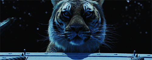 영상미 아름답다고 유명한 라이프 오브 파이 | 인스티즈