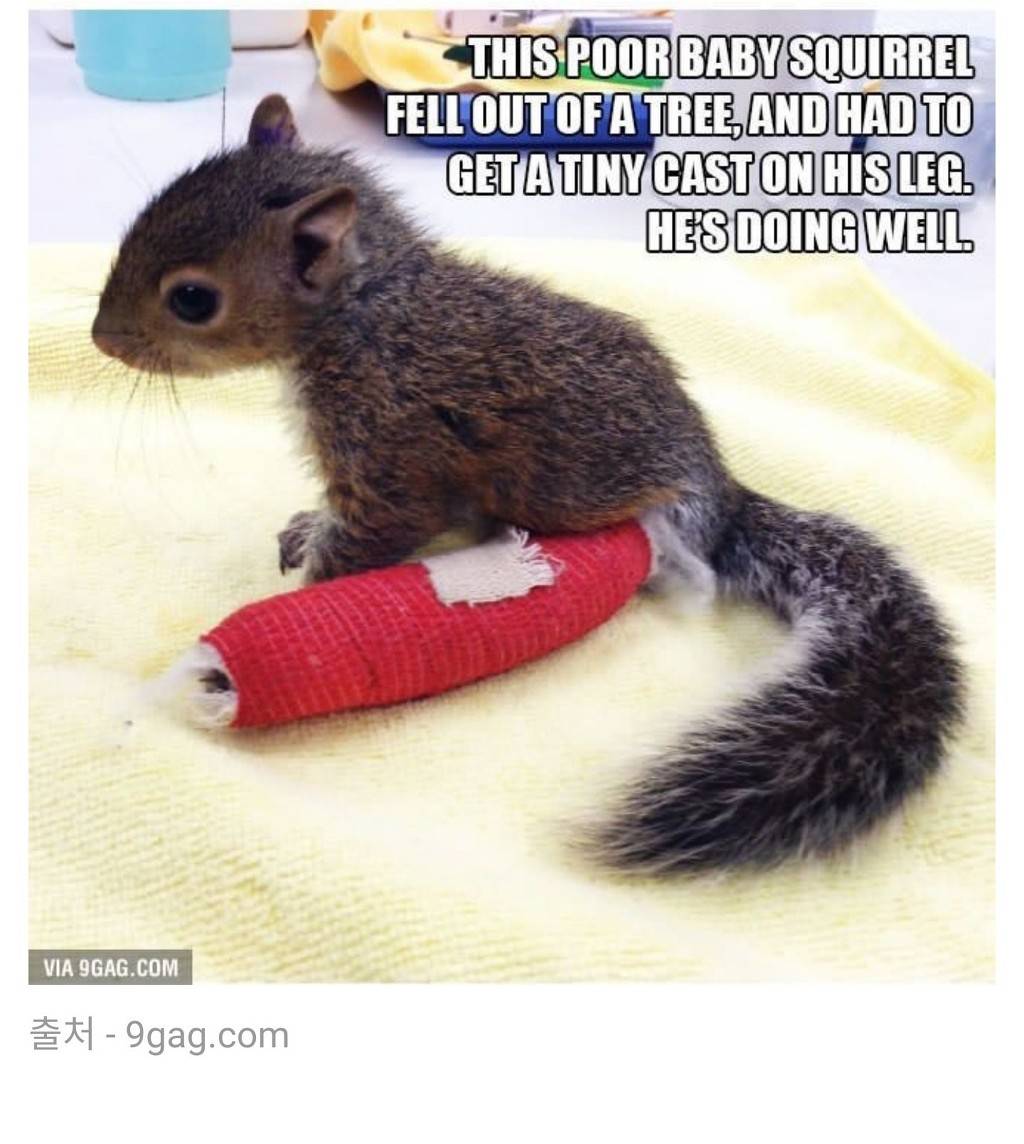 나 아야했쪄 | 인스티즈