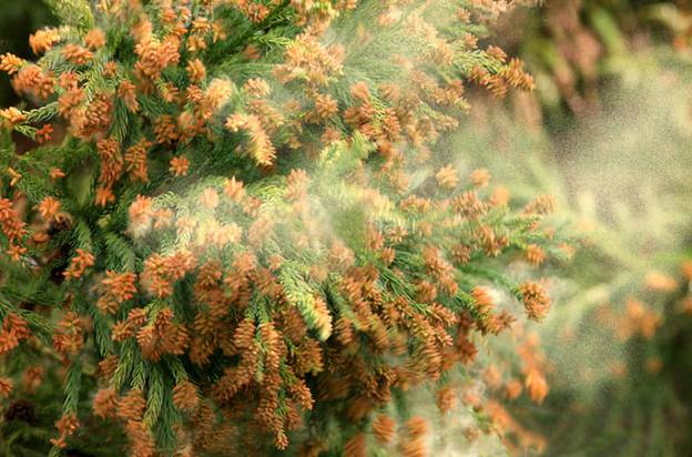 봄되면 제일 시룸인것 중 하나 | 인스티즈