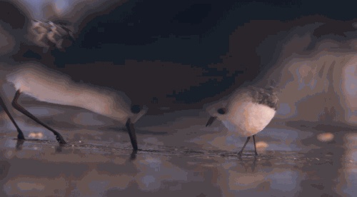 픽사 신작. gif | 인스티즈