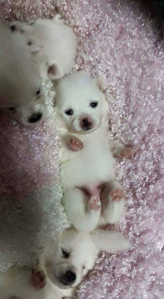 방석을 사왔는데.. | 인스티즈