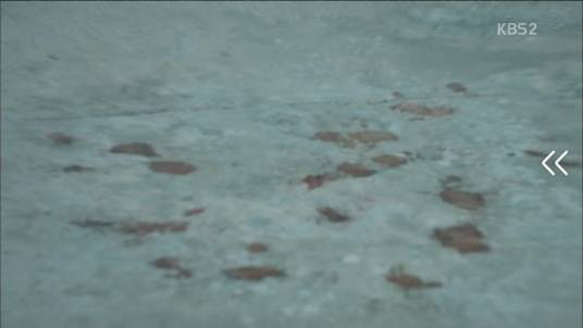 [드라마] 힐러 13 | 인스티즈