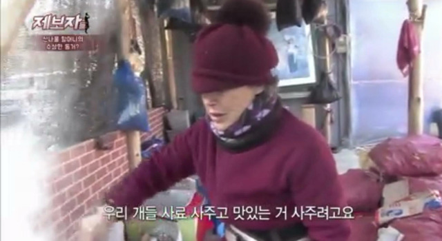 36마리의 유기견엄마 박옥래할머니 도와줘 여시들 | 인스티즈