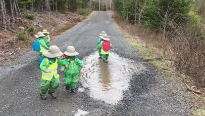 귀여운 아가들 | 인스티즈