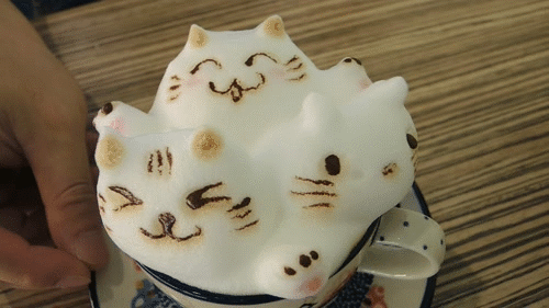 따뜻한 라떼 한 잔! 3D동물 아트라떼 gifjpg | 인스티즈