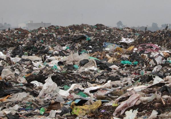 흔한 서양화과의 현실.jpg | 인스티즈