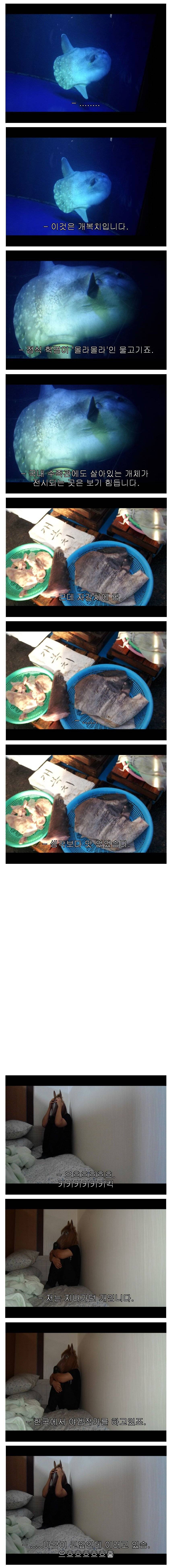 그러니 여러분은 아쿠아리움을 멀리하고 자갈치를 가시는게 좋습니다 | 인스티즈