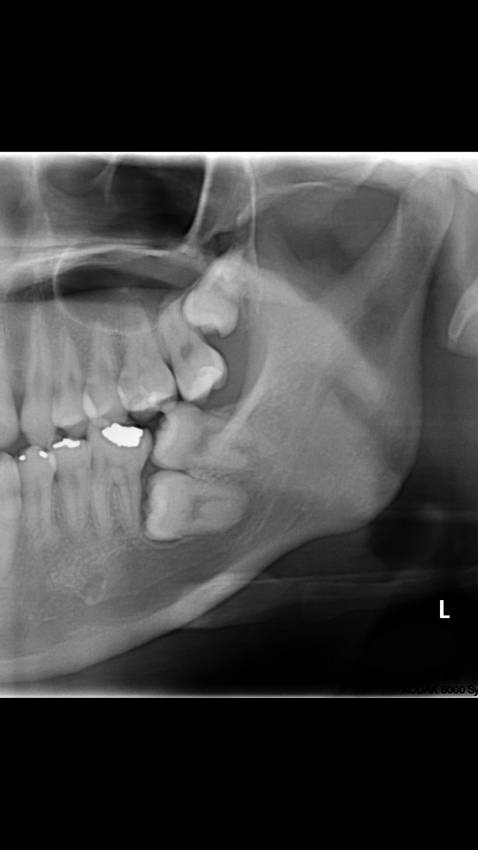 지옥에서 도사리고 있는 악마 | 인스티즈