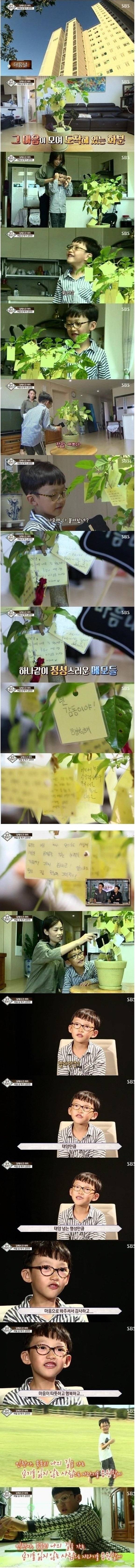 TV에서 보던 영재들 중 甲 | 인스티즈