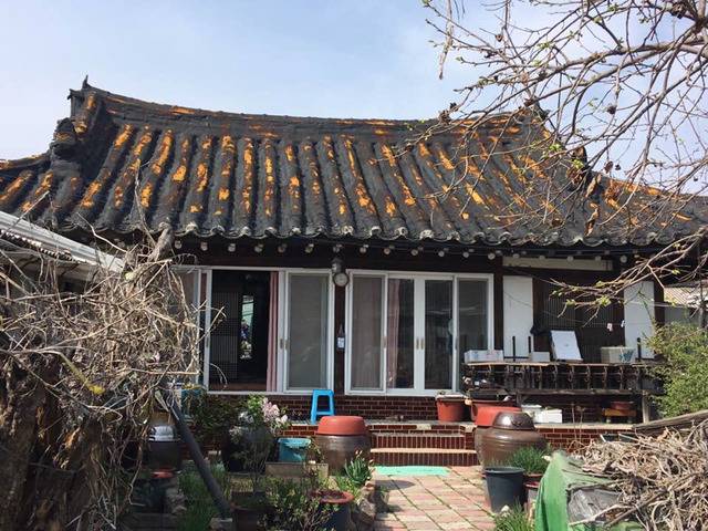 4/8 손혜원 의원 페이스북 (in 상주) | 인스티즈