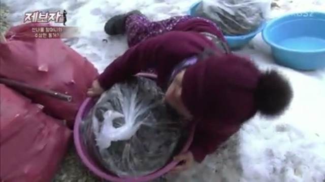 36마리의 유기견엄마 박옥래할머니 도와줘 여시들 | 인스티즈