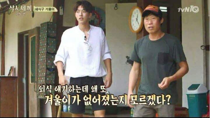 강아지가 안 보일때 꿀팁 | 인스티즈