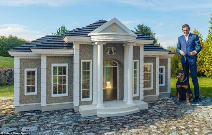 외국의 흔한 개집... | 인스티즈