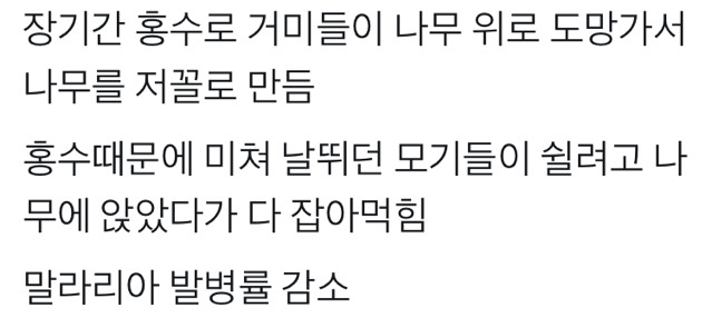 홍수가 일어났는데 말라리아가 감소한 이유 (거미줄 주의) | 인스티즈