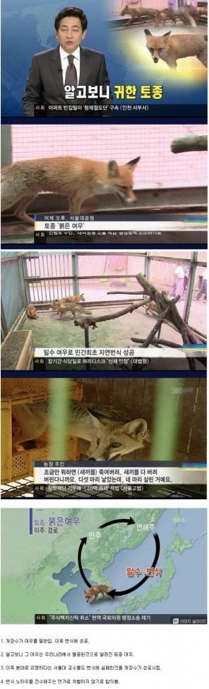 전설이 된 개장수 | 인스티즈