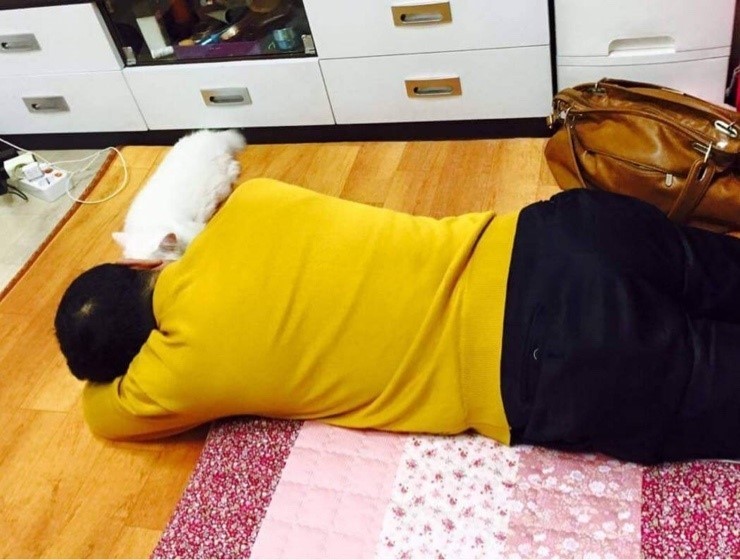 집에 고양이 데리고 오지 말라던 아부지.jpg | 인스티즈