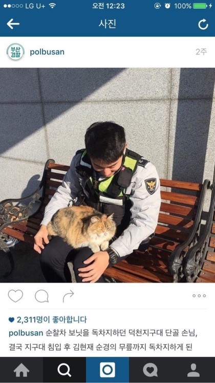 부산경찰 페이스북 (feat.고양이) | 인스티즈