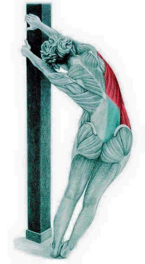 각 스트레칭별 자극이 가는 부위들 | 인스티즈