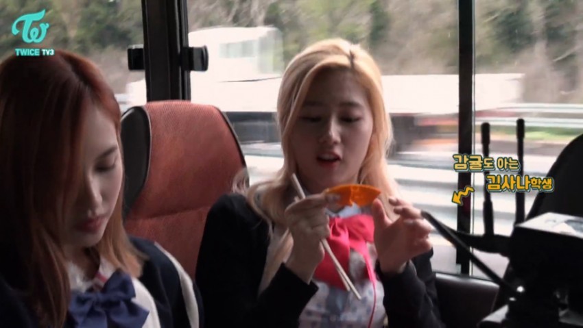 트와이스 사나가 자주쓰는거같은 말 | 인스티즈