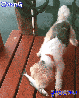 홈쇼핑 사고 레전드 | 인스티즈